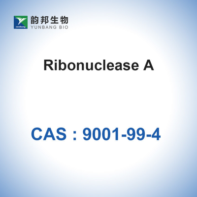 Sığır Pankreasından RNaz A Ribonükleaz A Biyolojik CAS 9001-99-4