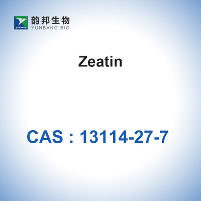 Zeatin Antibiyotik Hammadde Tozu CAS 13114-27-7 C10H13N5O