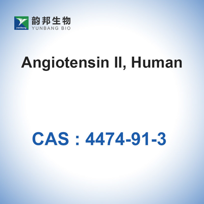 CAS 4474-91-3 Anjiyotensin II İnsan Toz Antibiyotik