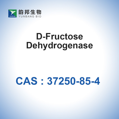 CAS 37250-85-4 D-Fruktoz Dehidrojenaz 20u/mg Biyolojik Katalizörler Enzimler
