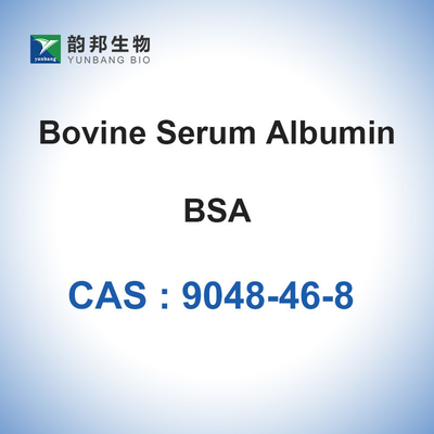 Sığır Serumu Albümin Tozu CAS 9048-46-8 Biyokimyasal Reaktif BSA Liyofilize Toz