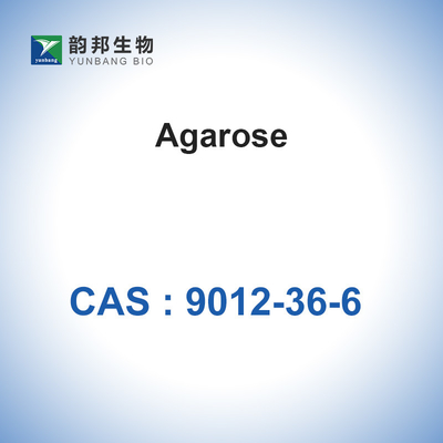 CAS 9012-36-6 Agaroz Biyokimyasal Glikozit BioReagent
