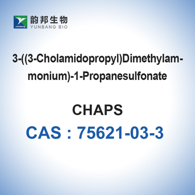 CHAPS Biyolojik Tamponlar Deterjan CAS 75621-03-3 %99 Saflık