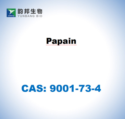 CAS 9001-73-4 Papaya lateksinden papain
