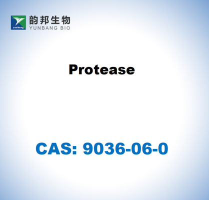 CAS 9036-06-0 Streptomyces griseus'tan proteaz
