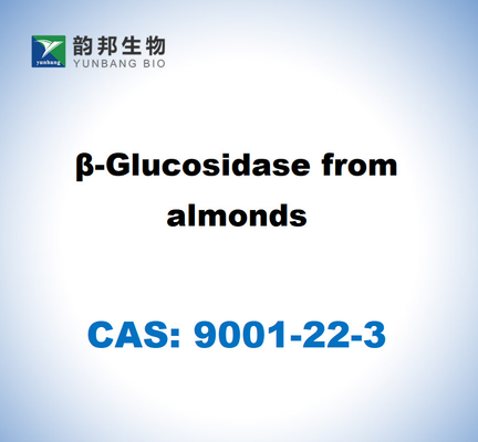 CAS 9001-45-0 Bademden B-Glükozidaz