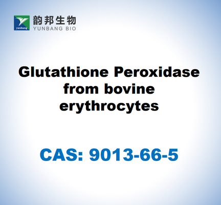 CAS 9013-66-5 Sığır eritrositlerinden alınan glutatyon peroksidaz