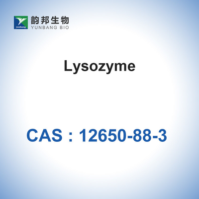 CAS 12650-88-3 Biyolojik Katalizörler Enzimler Tavuk Yumurta Beyazından Lizozim