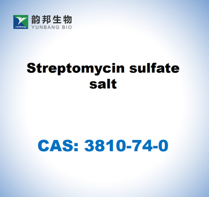 CAS 3810-74-0 Streptomycin sülfat tuzları Streptomyces sp.