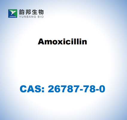 CAS 26787-78-0 Amoksisilin