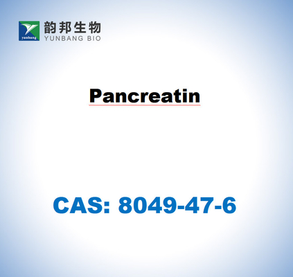 CAS 8049-47-6 Domuz pankreasından elde edilen pankreatin