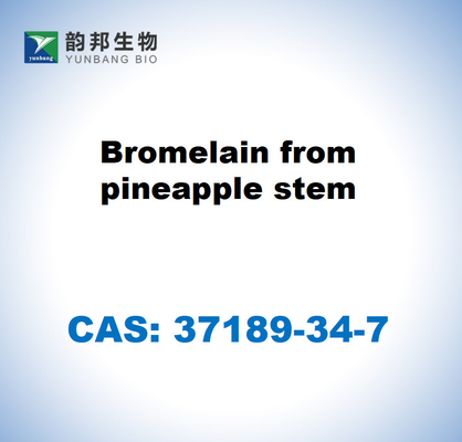 CAS 37189-34-7 Ananas sapından gelen bromelin