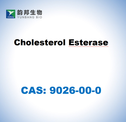 CAS 9026-00-0 Pseudomonas fluorescens'ten alınan kolesterol esterazı