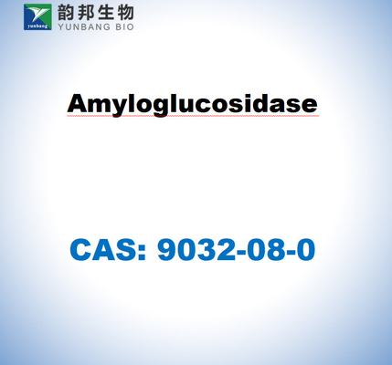 CAS 9032-08-0 Aspergillus niger'dan alınan amiloglukozidaz