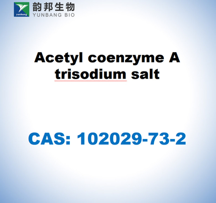 CAS 102029-73-2 Asetil koenzimi A trisodium tuzu