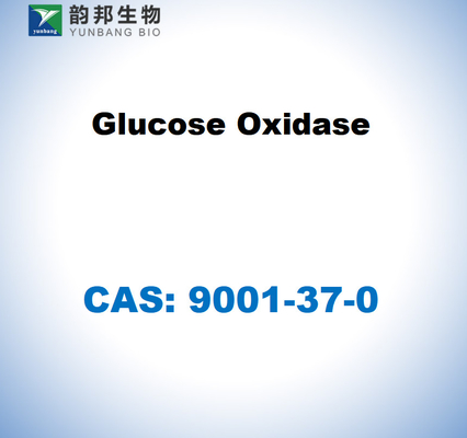 CAS 9001-37-0 Aspergillus niger'den glikoz oksidazi