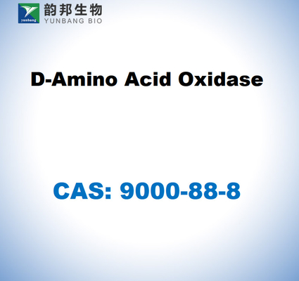 CAS 9000-88-8 Domuz böbreklerinden D-Amino Asit Oksidazi