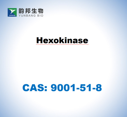 CAS 9001-51-8 Saccharomyces cerevisiae'dan hexokinase