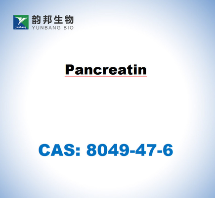 CAS 8049-47-6 Domuz pankreasından elde edilen pankreatin