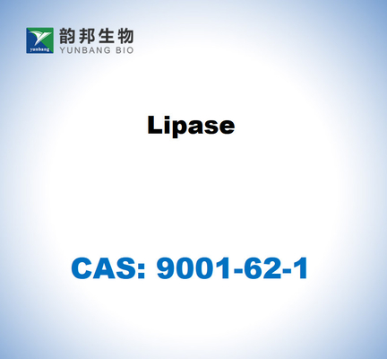 CAS 9001-62-1 Candida rugosa'dan lipase