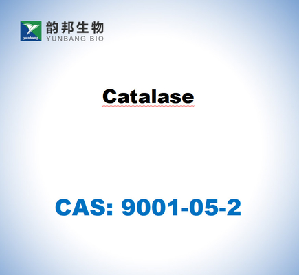 CAS 9001-05-2 Sığır karaciğerinden katalaz