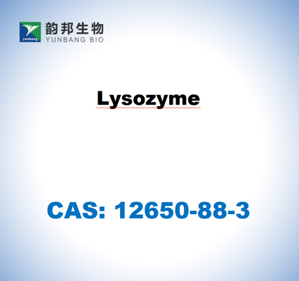 CAS 12650-88-3 Tavuk yumurtası beyazından alınan lizozim