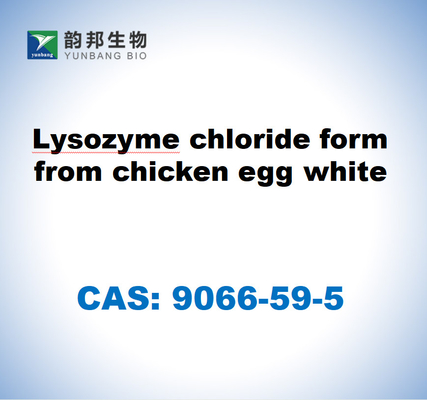 CAS 9066-59-5 Tavuk yumurtası beyazından gelen lizozim klorürü şekli