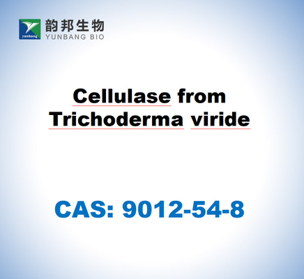 CAS 9012-54-8 Trichoderma Viride'den gelen selülase