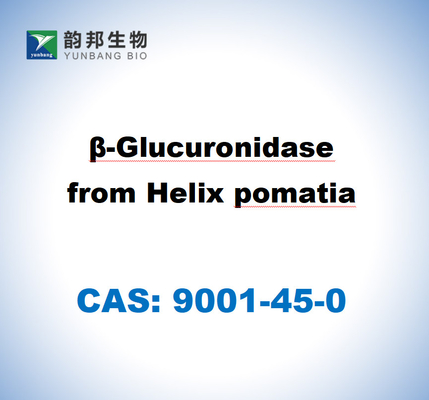 CAS 9001-45-0 Helix Pomatia'dan B-Glükuronidaz