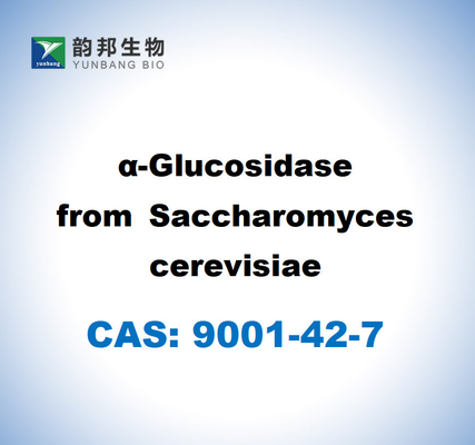 CAS 9001-42-7 Saccharomyces Cerevisiae'den A-Glükozidaz