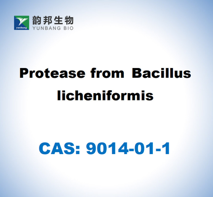 CAS 9014-01-1 Bacillus Licheniformis'ten proteaz