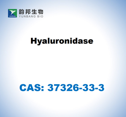 CAS 37326-33-3 Sığır testislerinden elde edilen hiyaluronidaz