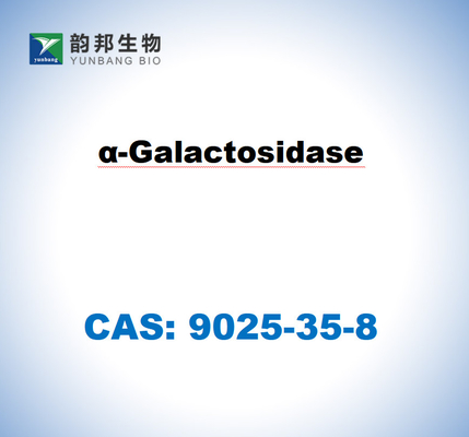 CAS 9025-35-8 Aspergillus Niger'den A-Galaktosidaz