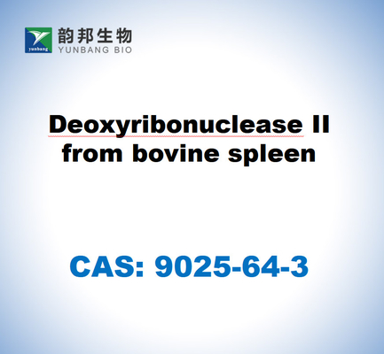 CAS 9025-64-3 Sığır dalağından elde edilen deoksiribonükleaz II