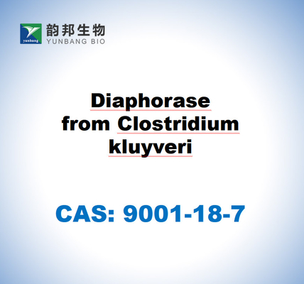 CAS 9001-18-7 Clostridium kluyveri'den elde edilen diyaforaz