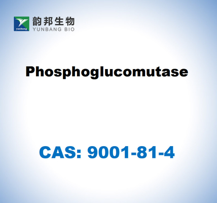 CAS 9001-81-4 Fosfoglukomutaz EC 5.4.2.2