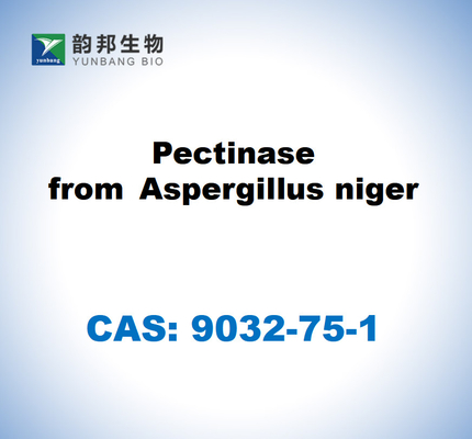 CAS 9032-75-1 Aspergillus niger'dan gelen pektinaz