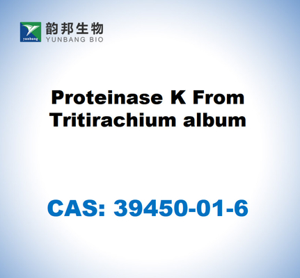 CAS 39450-01-6 Tritirachium albümünden proteinase K