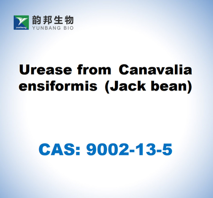 CAS 9002-13-5 Canavalia ensiformis'ten (Jack fasulyesi) elde edilen Ureaz