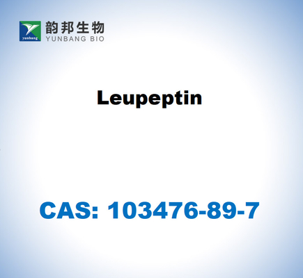 CAS 103476-89-7 Leupeptin