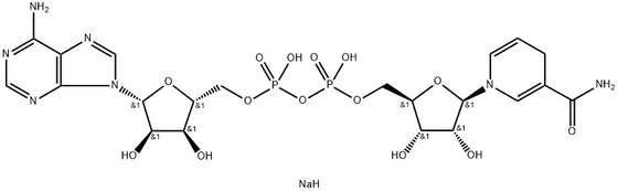 CAS 606-68-8 NADH, Disodyum, B-Nikotinamid Adenin Dinükleotid, Redüksiyonlu Disodyum Tuzu Hidrat