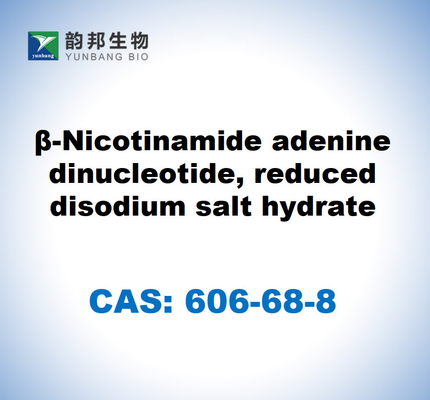 CAS 606-68-8 NADH, Disodyum, B-Nikotinamid Adenin Dinükleotid, Redüksiyonlu Disodyum Tuzu Hidrat