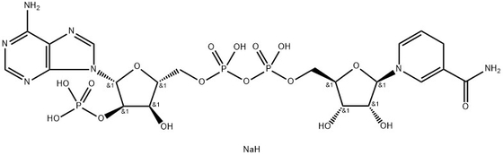 CAS 2646-71-1 Nadph Tetrasodyum Tuzu