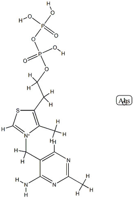 CAS 154-87-0 Kokarboksilaz 97%