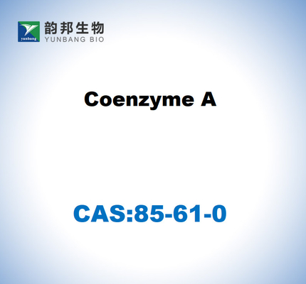 CAS 85-61-0 Koenzim A 85% Hücre Kültürü Derecesi
