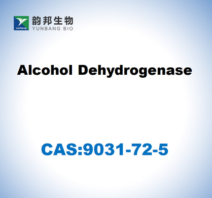CAS 9031-72-5 Alkol Dehidrojenase