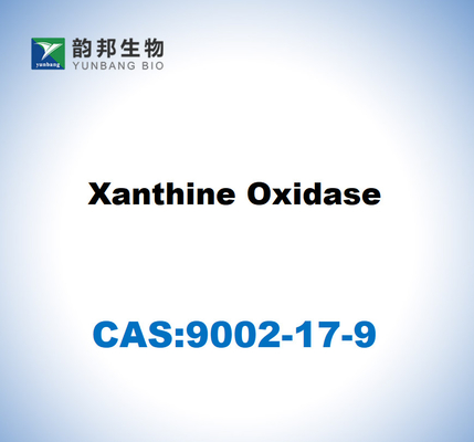 CAS 9002-17-9 Ksantin oksidazi
