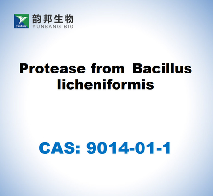 CAS 9014-01-1 Bacillus Licheniformis'ten proteaz