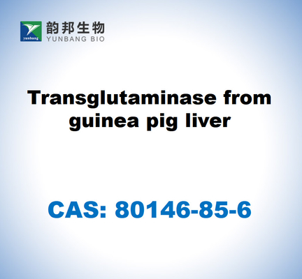 CAS 80146-85-6 Guinea Pig karaciğerinden transglutaminaz