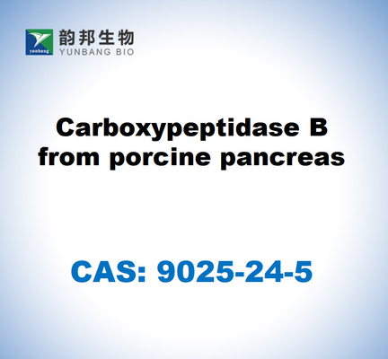 CAS 9025-24-5 Domuz pankreasından karboksipeptidaz B